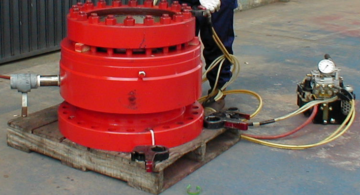 Sealant injection into a gate valve